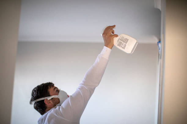 Best Crawl Space Mold Removal  in Dix Hills, NY