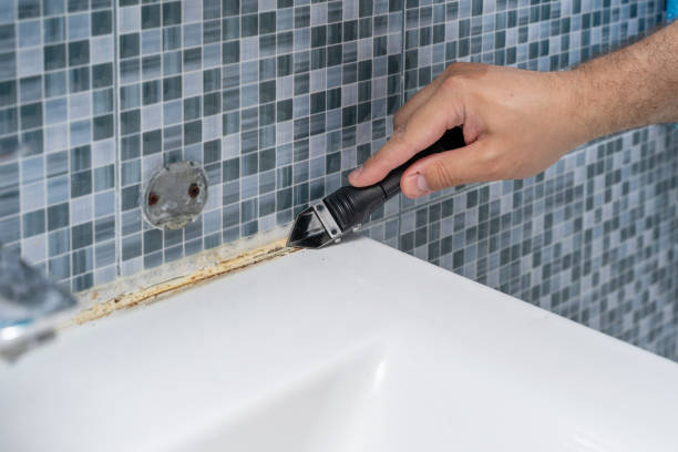 Best Home Mold Removal  in Dix Hills, NY